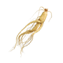 ginseng